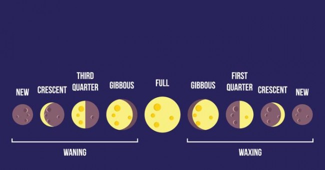Moon Phase là gì? Cách chỉnh chức năng Moonphase trên đồng hồ