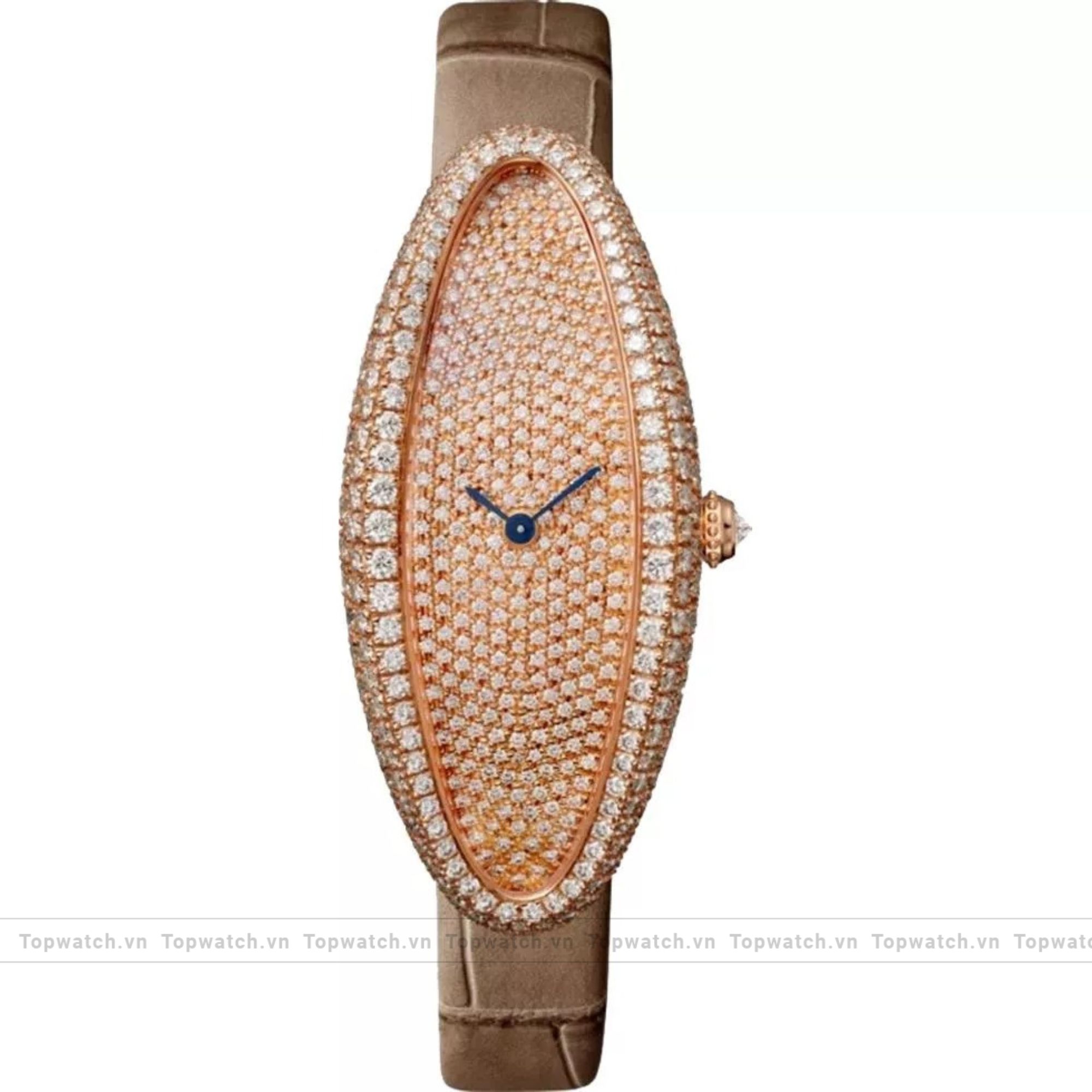 Cartier Baignoire Allongée WJBA0010 Watch 47x21mm