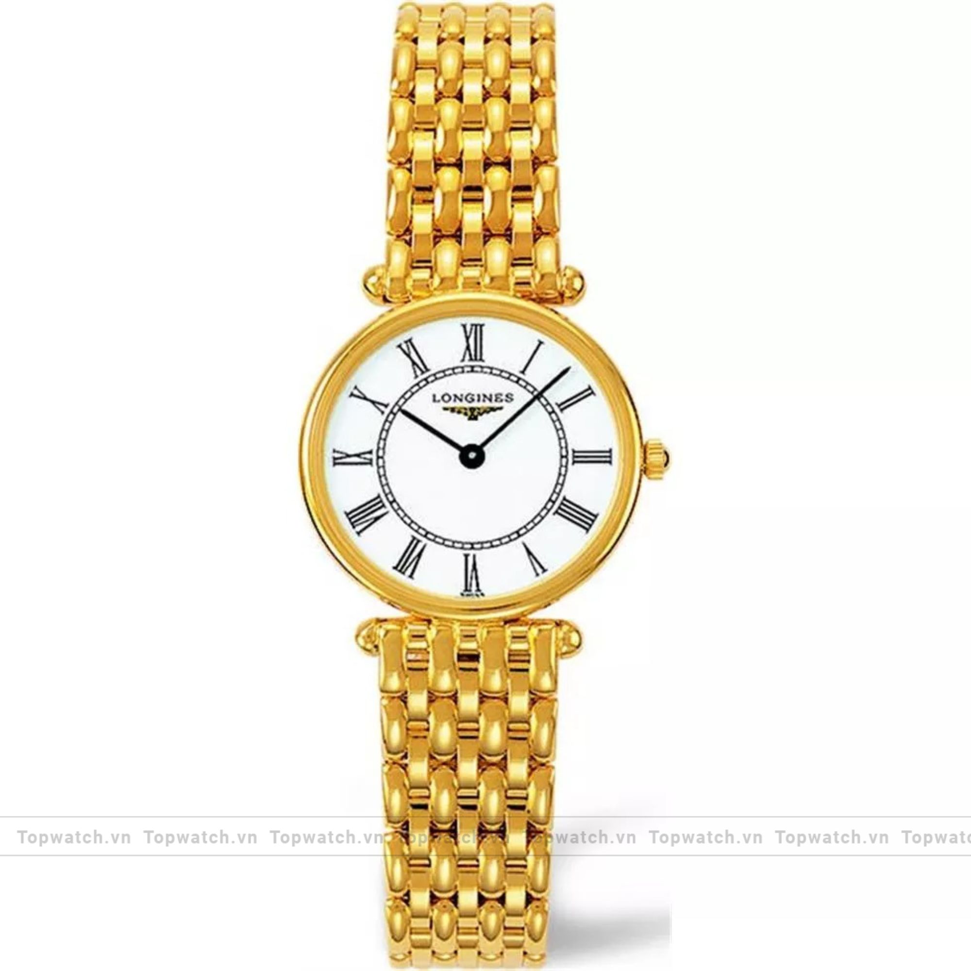 Longines Agassiz 18K L4.191.6.11.6 Watch 23mm