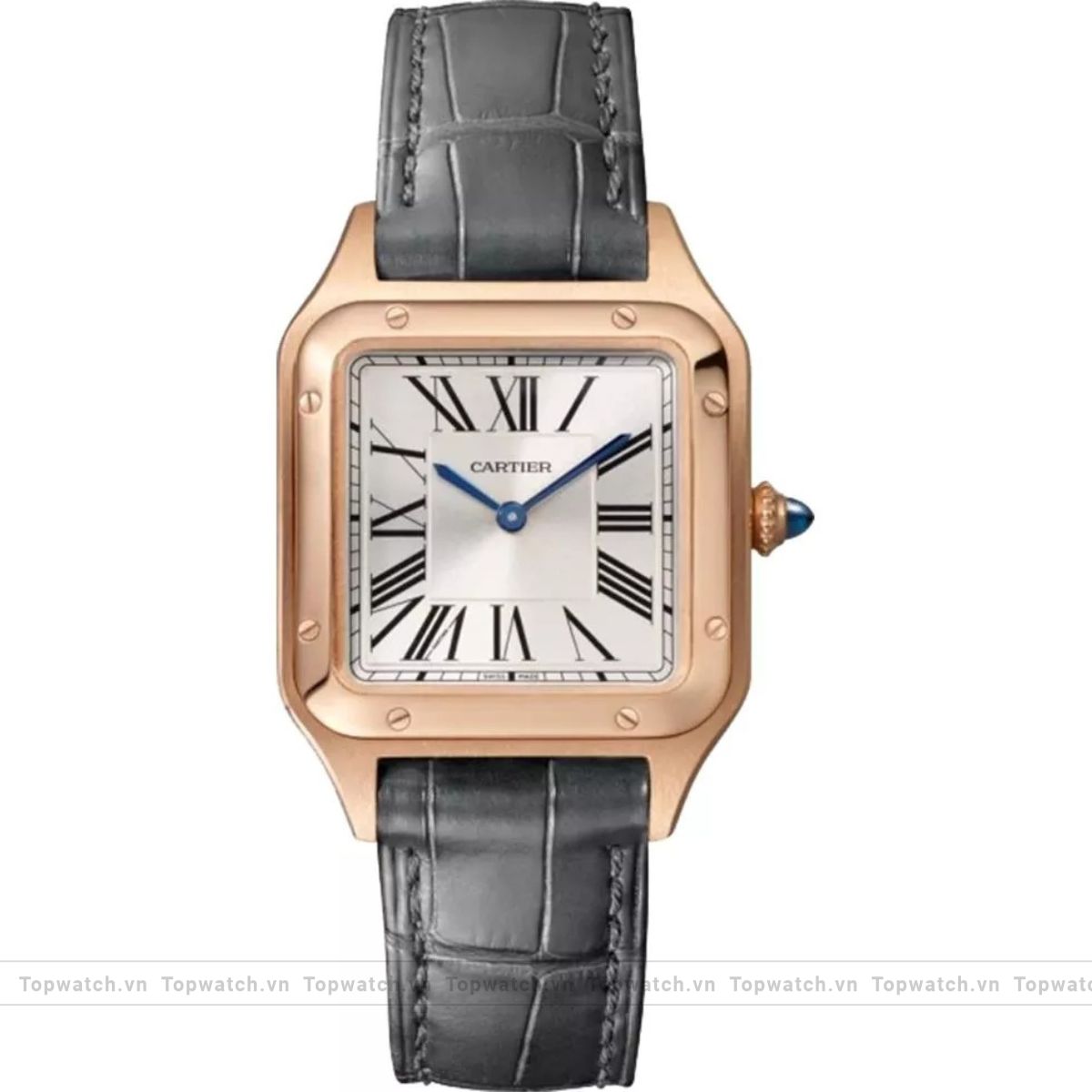 Cartier Santos-Dumont WGSA0022 Watch 38×27.5mm