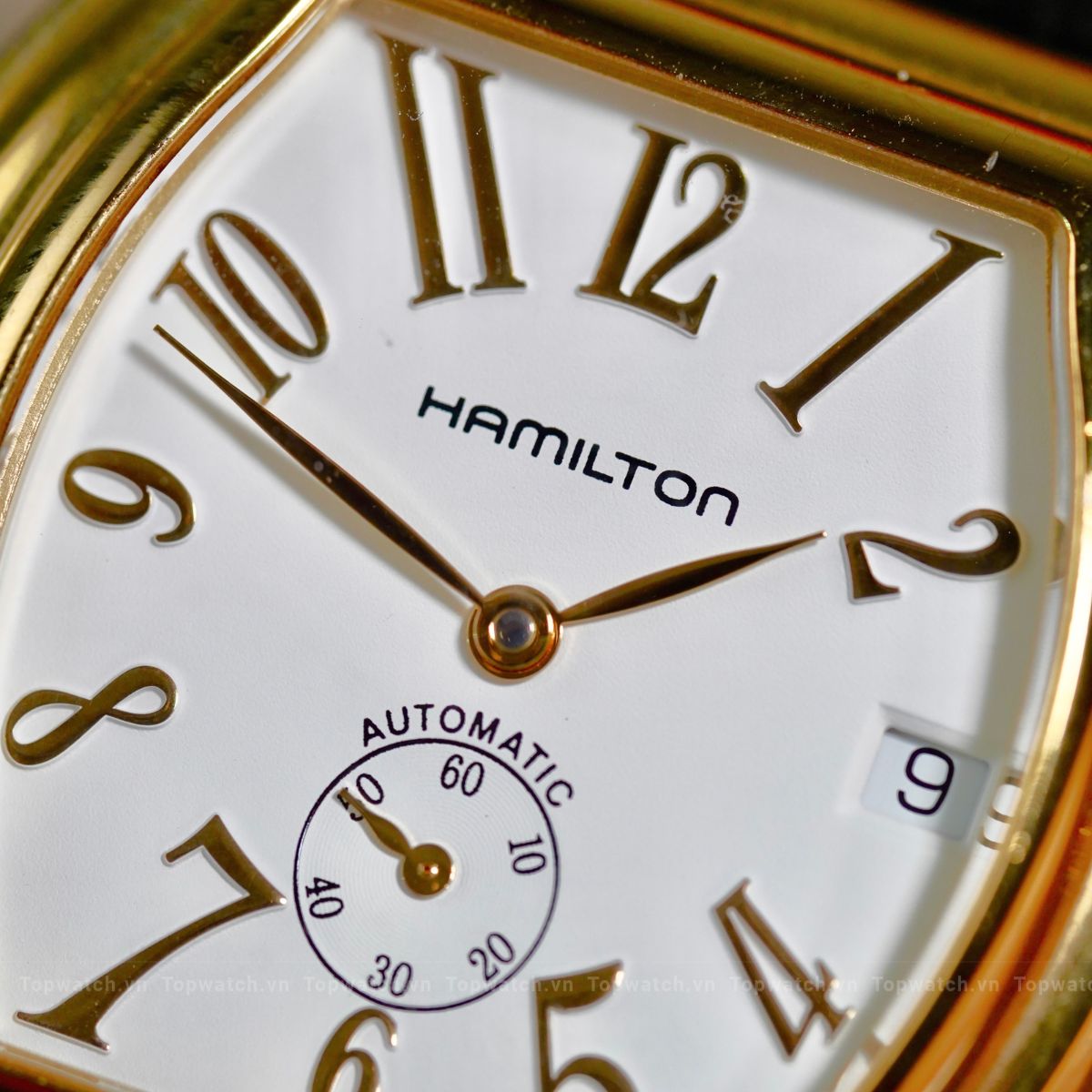 Hamilton Dadson H274350