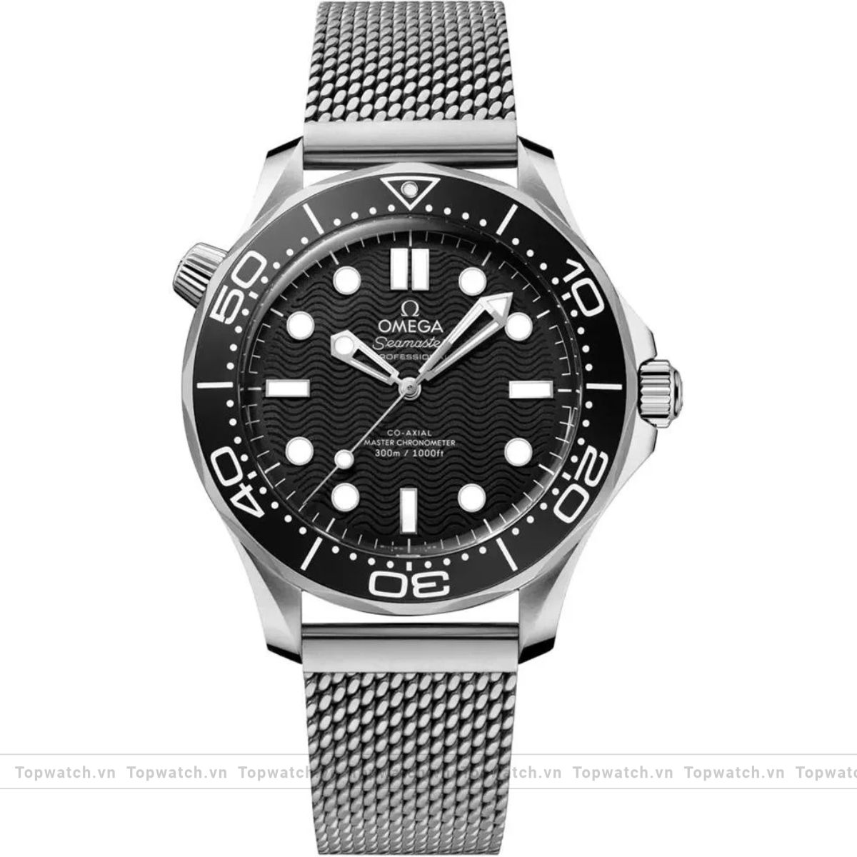 Omega Seamaster 210.30.42.20.01.010 Watch 42mm