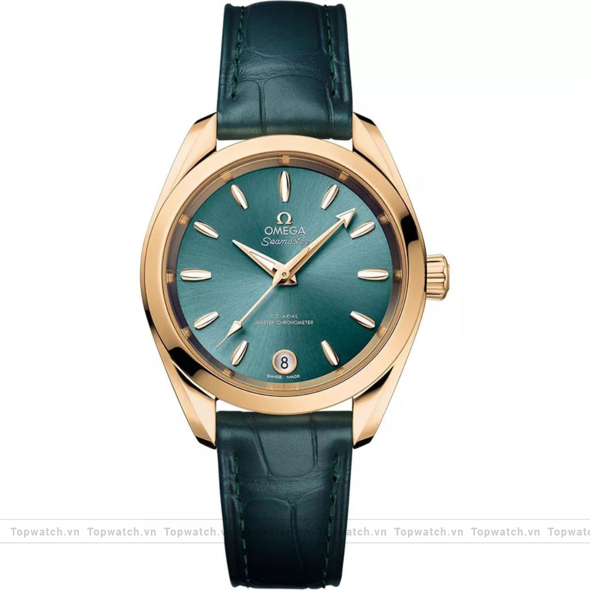 Omega Seamaster 220.53.34.20.10.001 Aqua Terra 34mm