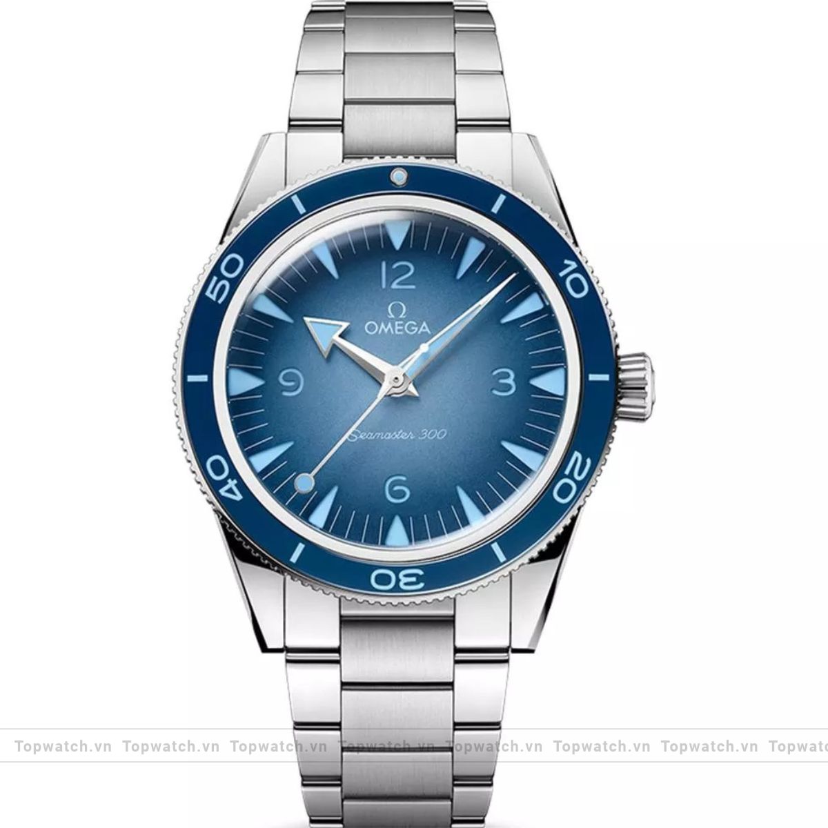 Omega Seamaster Watch 41mm