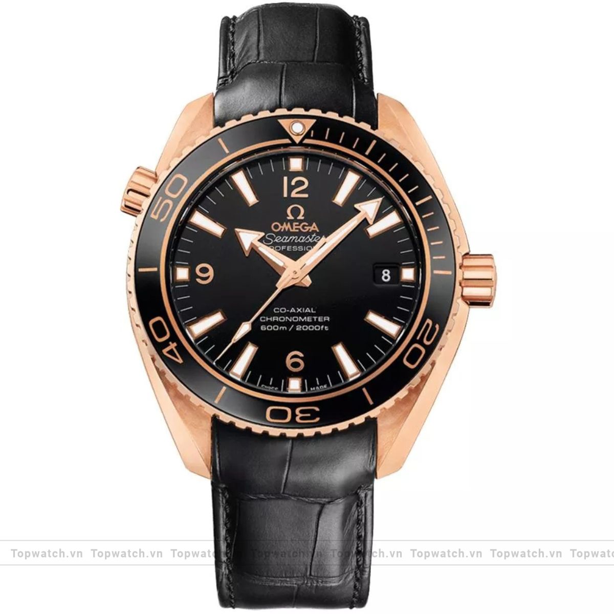 Omega Seamaster planet Ocean 600 Co Axial 42mm