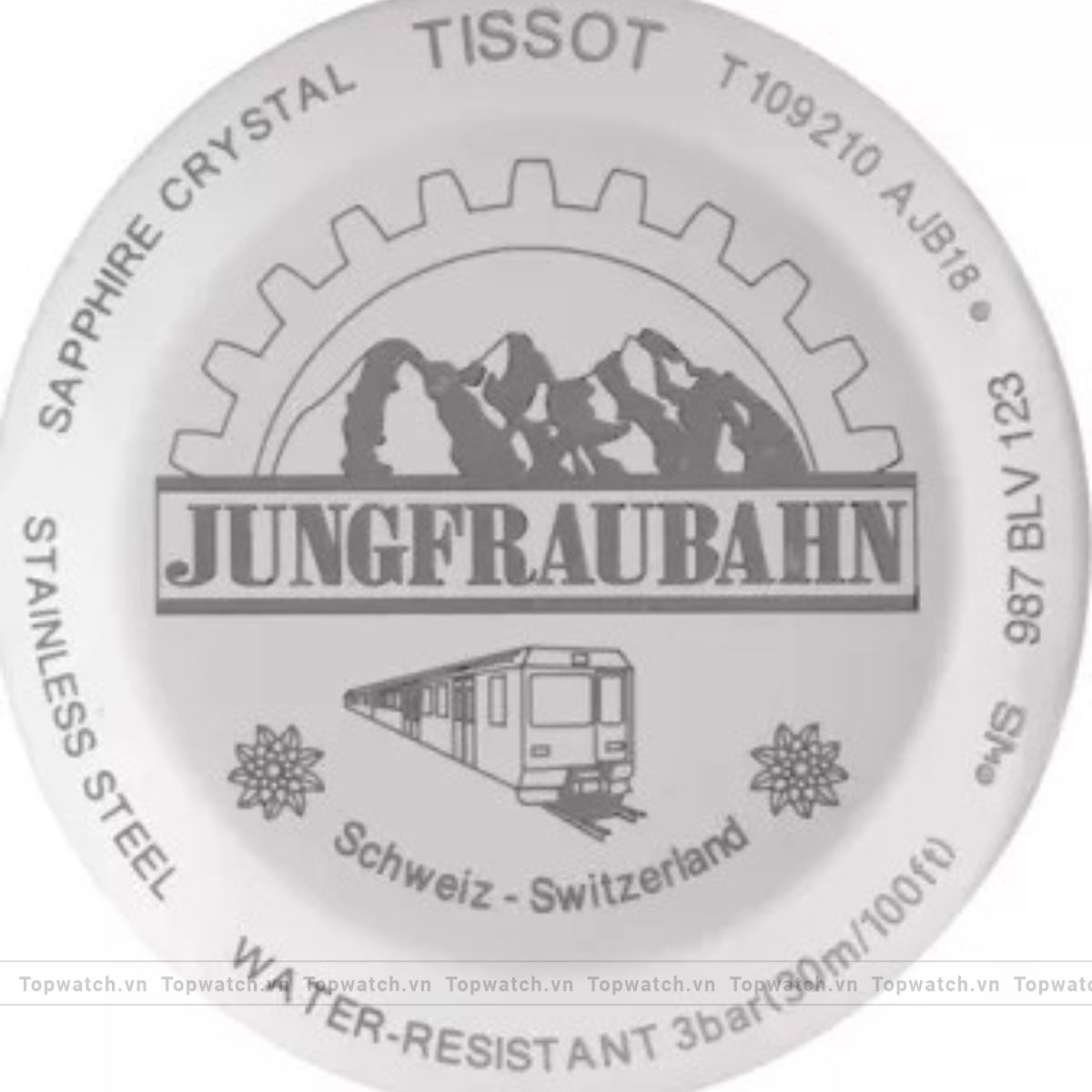 Tissot Everytime T109.210.11.033.10 Small Jungfraubahn 30mm