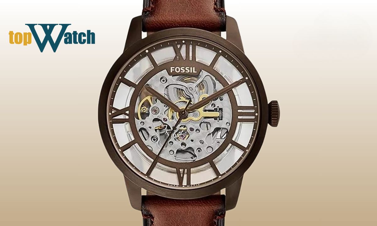 bộ sưu tập fossil townsman