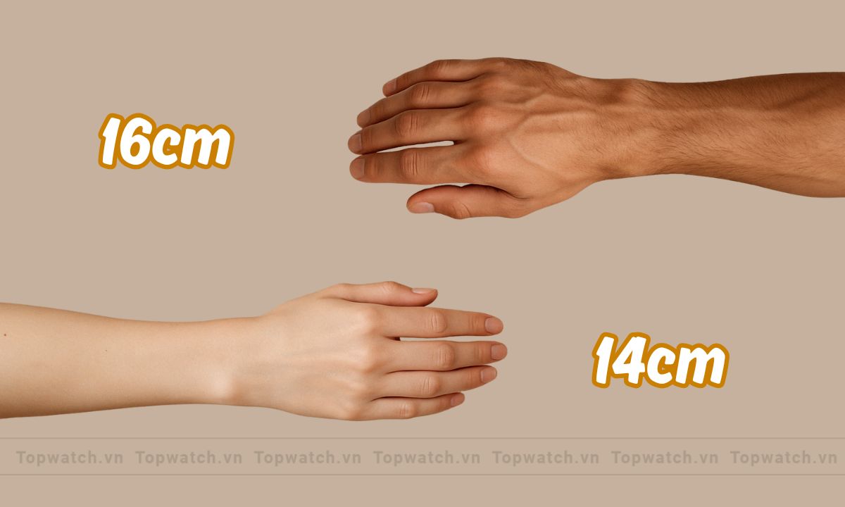 kích thước cổ tay bao nhiêu được xem là nhỏ