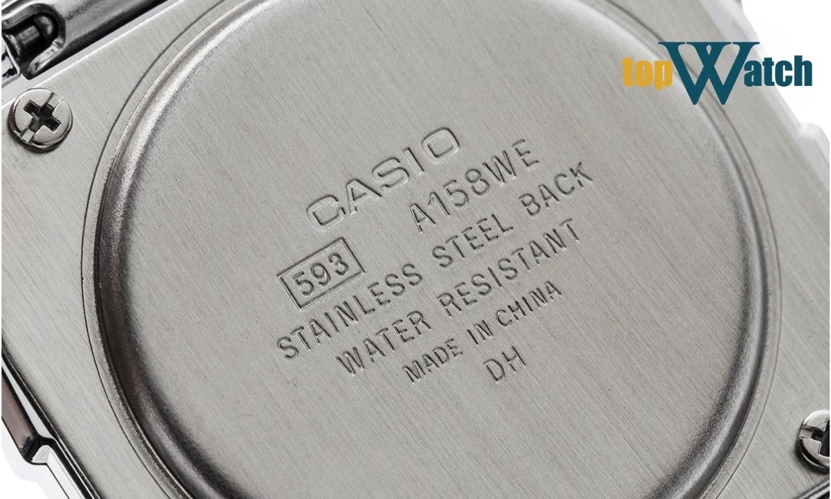 stainless steel back nghĩa là gì