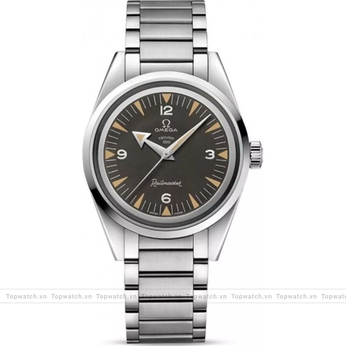 Omega Railmaster 220.10.38.20.01.003 60th Limited 38mm