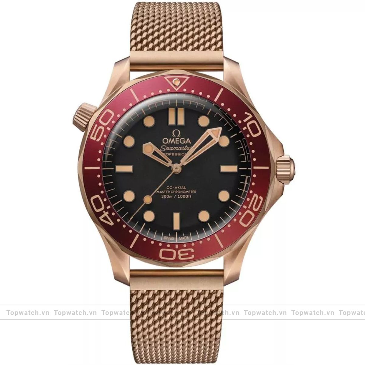 Omega Seamaster 210.90.42.20.01.003 Diver 300MM Watch 42mm