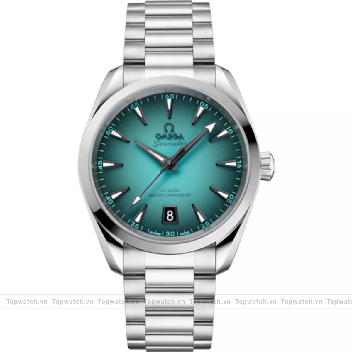 Omega Seamaster 220.10.38.20.03.005 Aqua Terra 150M Watch 38mm