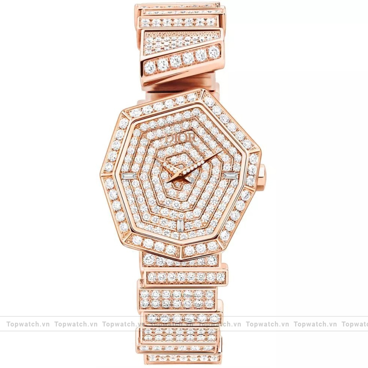 Christian Dior Gem Dior CD18117X1112 Watch 27mm Christian Dior Gem Dior CD18117X1112 Watch 27mm