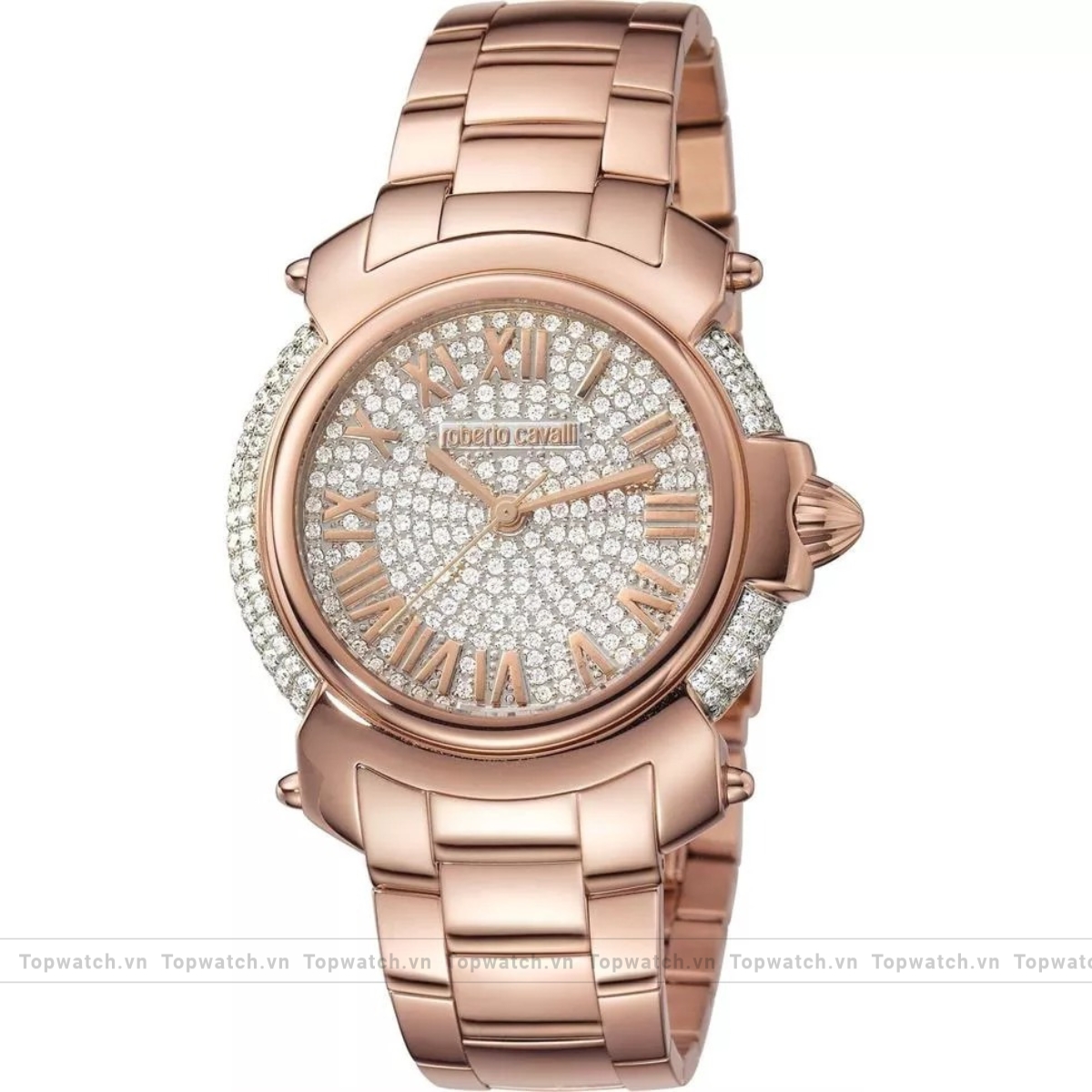 Roberto Cavalli By Franck Muller RV1L006M0056 Watch 40mm Roberto Cavalli By Franck Muller RV1L006M0056 Watch 40mm