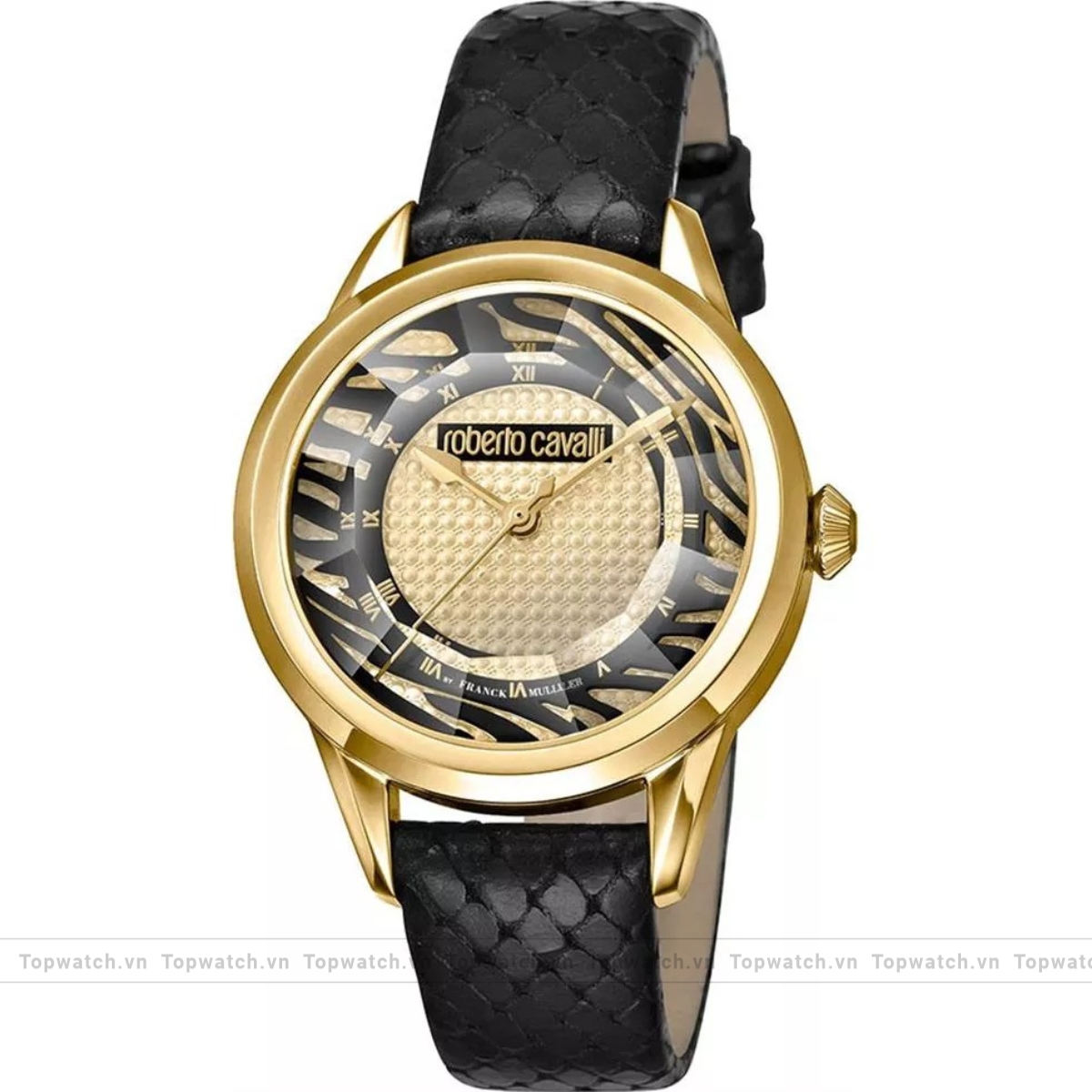 Roberto Cavalli by Franck Muller RV1L063L0201 Watch 36mm Roberto Cavalli by Franck Muller RV1L063L0201 Watch 36mm