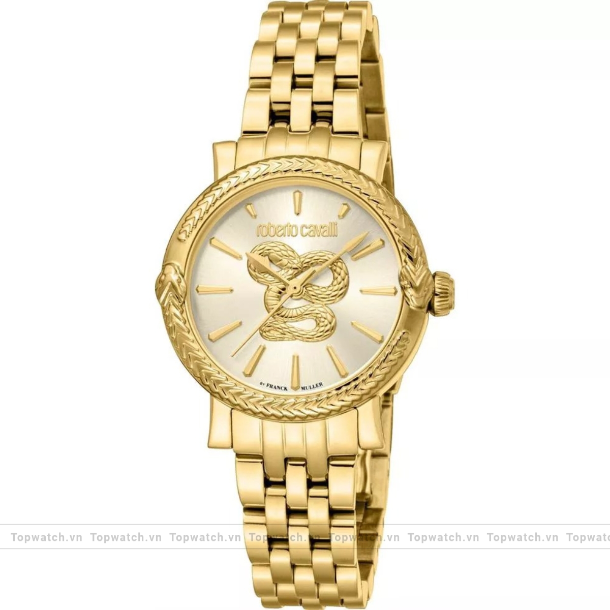 Roberto Cavalli by Franck Muller RV1L231M0021 Champagne Watch 30mm Roberto Cavalli by Franck Muller RV1L231M0021 Champagne Watch 30mm