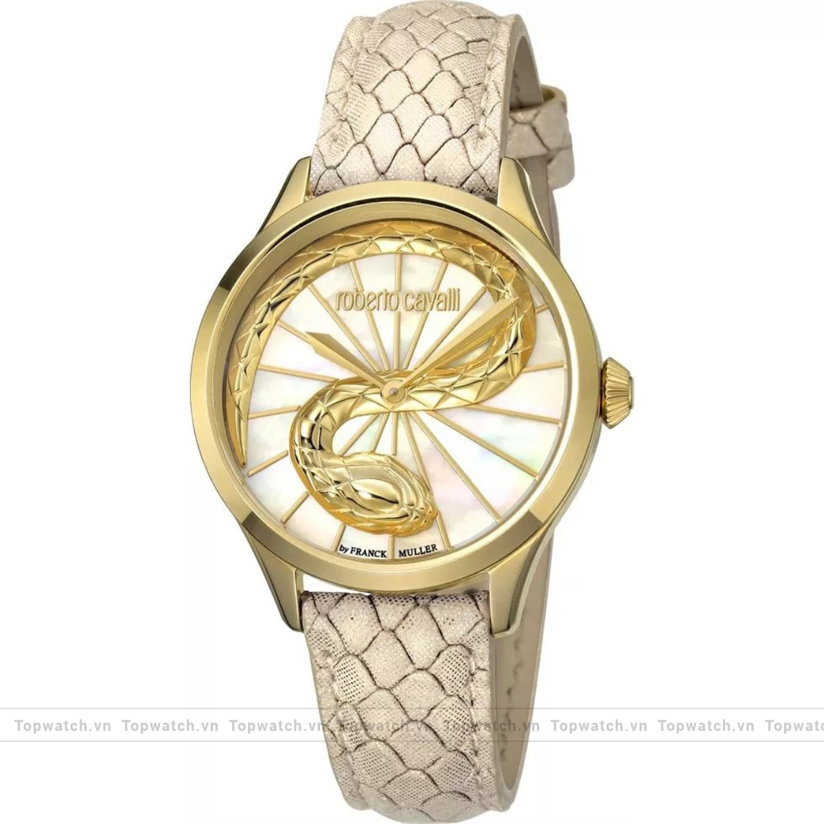 Roberto Cavalli RC-35 RV1L036L0026 Mother of Pearl Watch 34mm Roberto Cavalli RC-35 RV1L036L0026 Mother of Pearl Watch 34mm