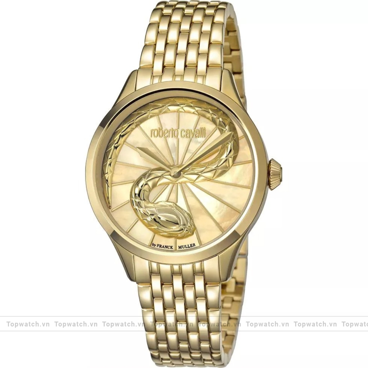 Roberto Cavalli RC-35 RV1L036M0076 Champagne Watch 34mm Roberto Cavalli RC-35 RV1L036M0076 Champagne Watch 34mm