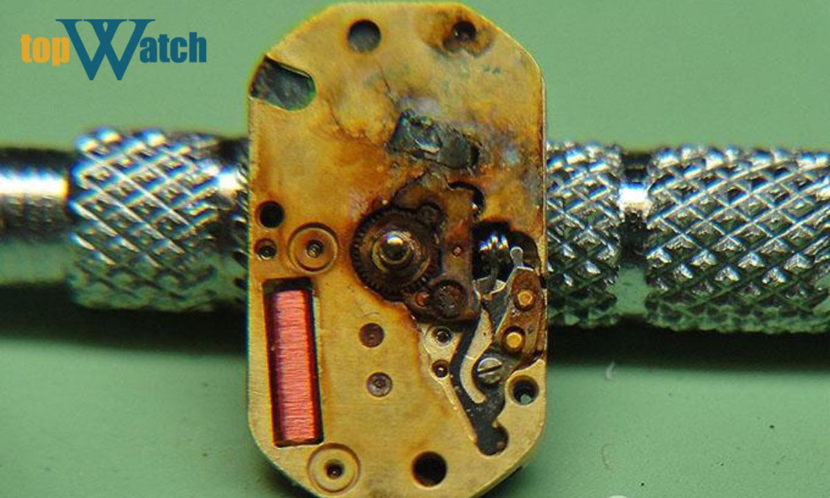 bao ve bo may va keo dai tuoi tho dong ho