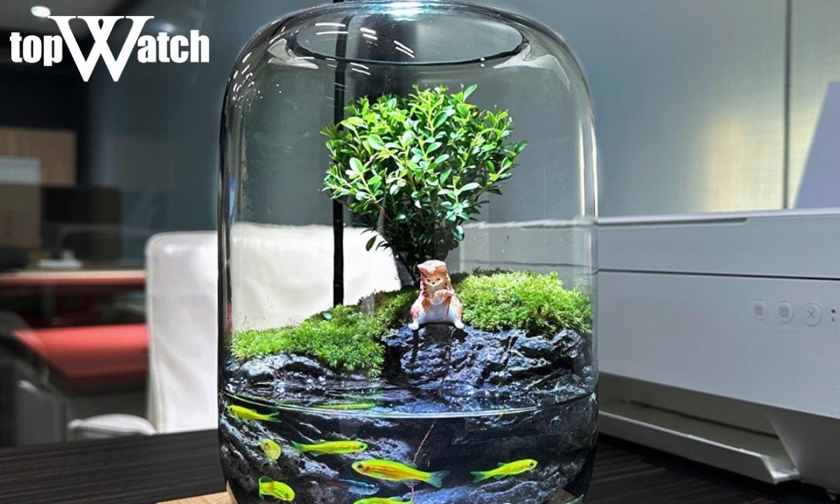 tặng quà giáng sinh vào ngày nào