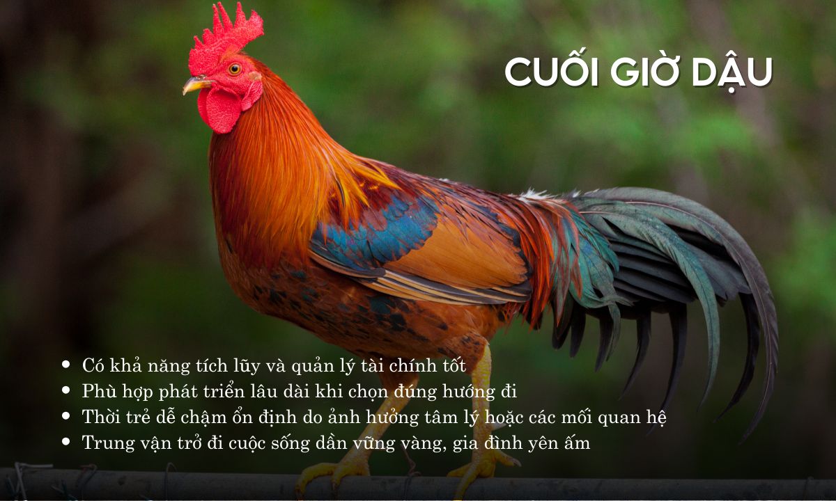 Giờ Dậu là mấy giờ? Luận đoán số mệnh người sinh giờ Dậu theo 12 con giáp giờ tân dậu là mấy giờ