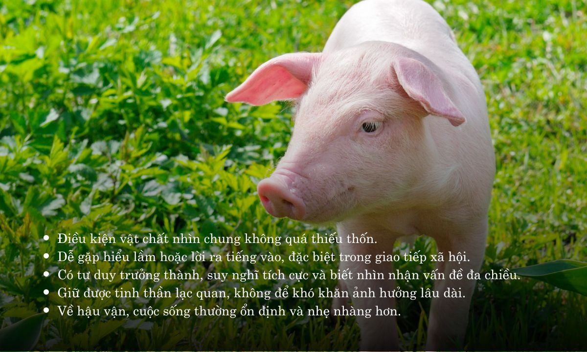 Giờ Hợi là mấy giờ? Sinh vào giờ Hợi là sướng hay khổ? giờ hợi là lúc mấy giờ