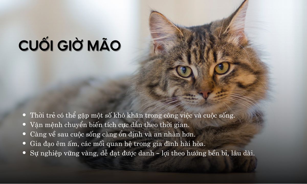 Giờ Mão là mấy giờ? Người sinh giờ Mão có điểm gì đặc biệt? giờ ất mão là mấy giờ