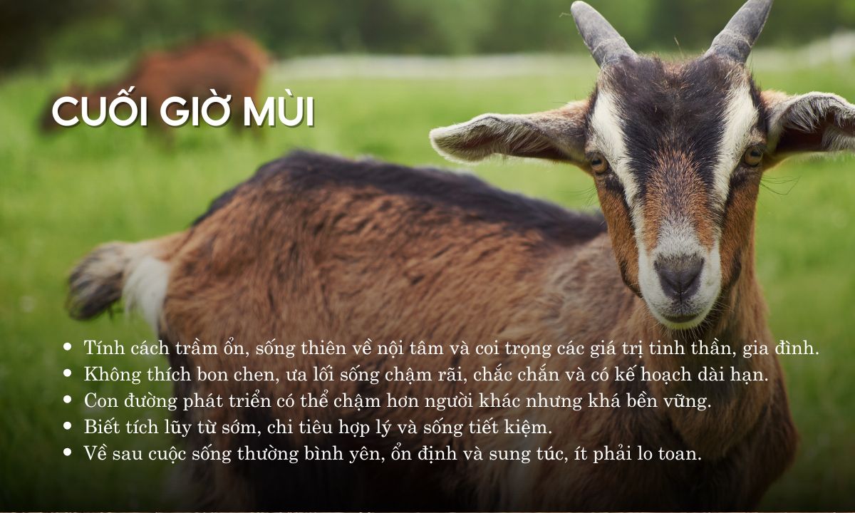 giờ mão ngọ mùi dậu là mấy giờ