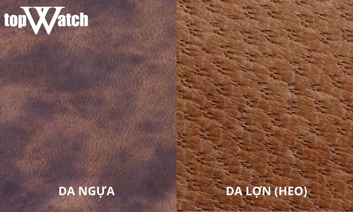 Thuộc da là gì? Có bao nhiêu loại da thuộc phổ biến? da thuộc là da gì