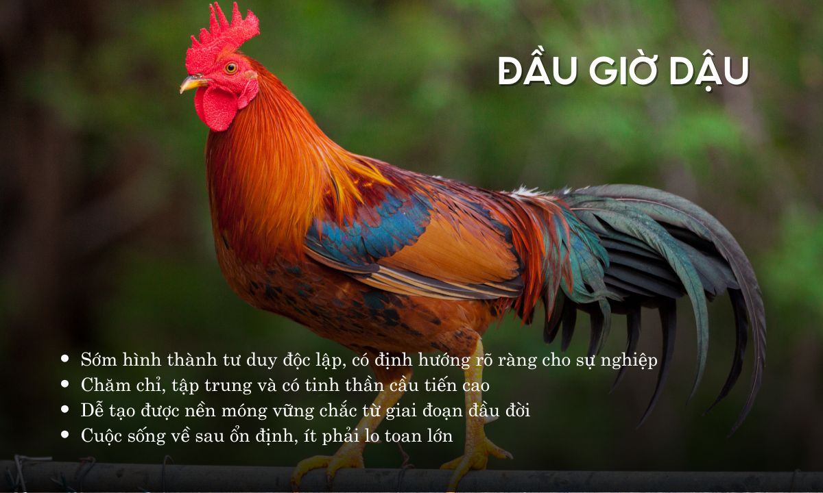 Giờ Dậu là mấy giờ? Luận đoán số mệnh người sinh giờ Dậu theo 12 con giáp giờ dậu là từ mấy giờ