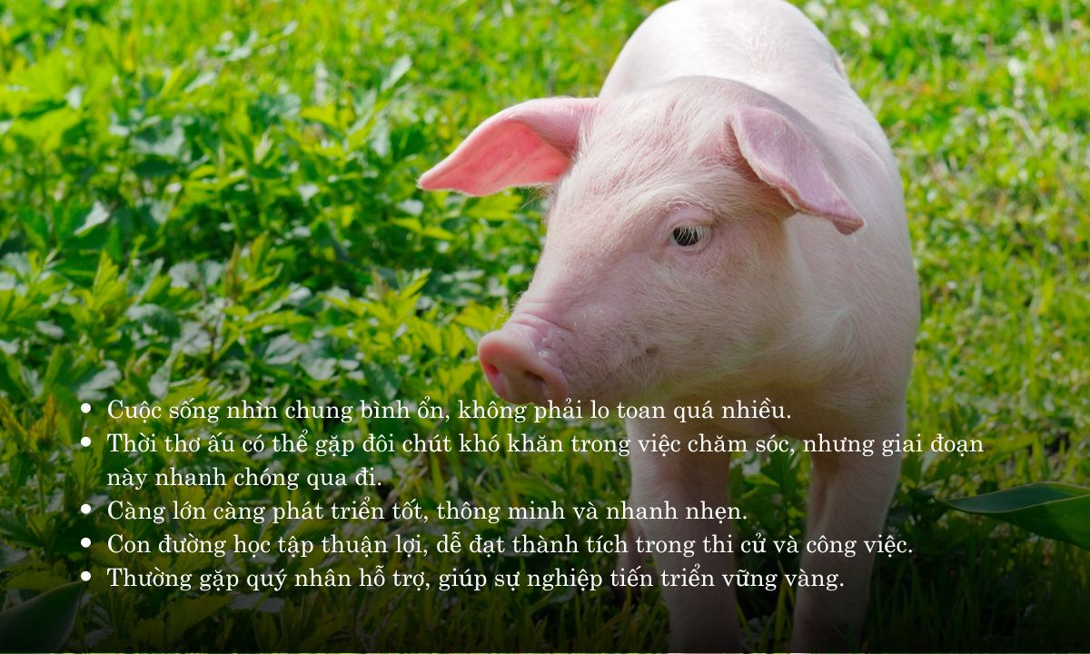 Giờ Hợi là mấy giờ? Sinh vào giờ Hợi là sướng hay khổ? giờ hợi là mấy h