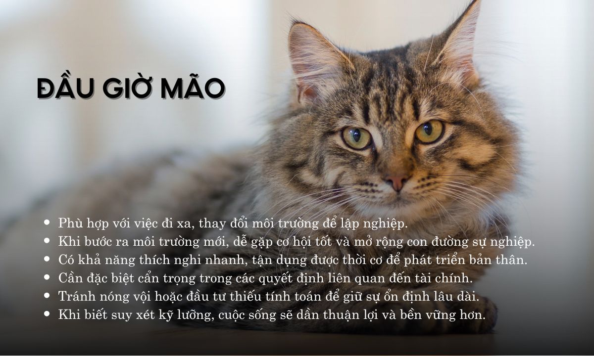 Giờ Mão là mấy giờ? Người sinh giờ Mão có điểm gì đặc biệt? giờ mão là mấy giờ sáng