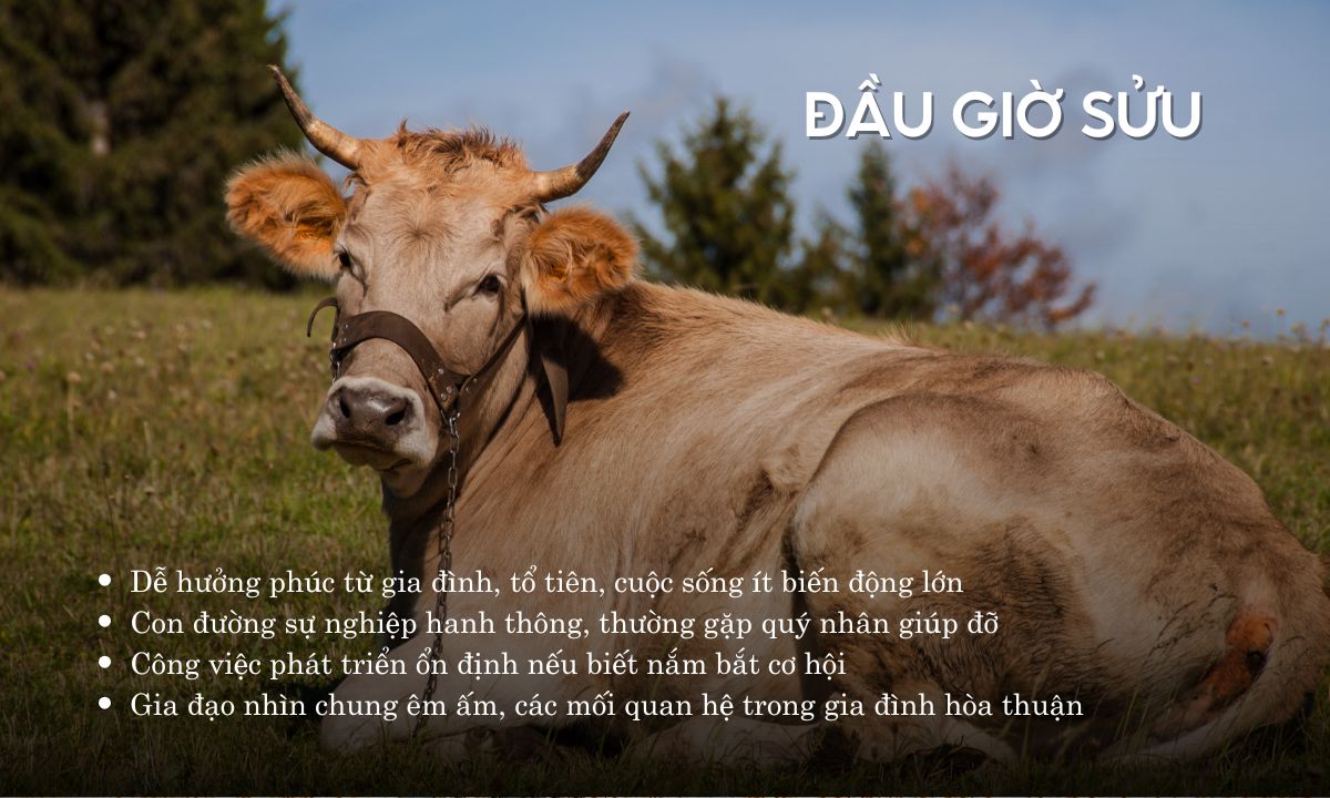 Giờ Sửu là mấy giờ? Người sinh giờ Sửu có số phận ra sao? giờ sửu là mấy h