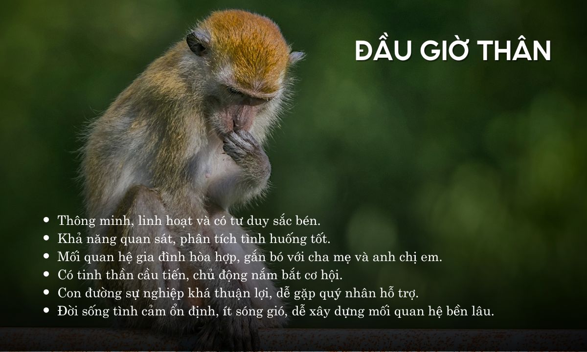 Giờ Thân là mấy giờ? Tính cách người sinh giờ Thân thế nào? giờ thân là mấy giờ trong ngày
