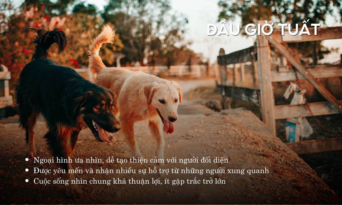 giờ tuất là mấy h