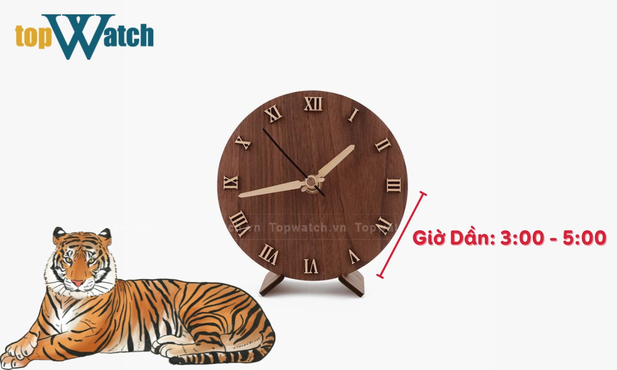 Giờ Dần là mấy giờ? Giải mã nhanh vận mệnh người sinh vào giờ Dần giờ dần là từ mấy giờ