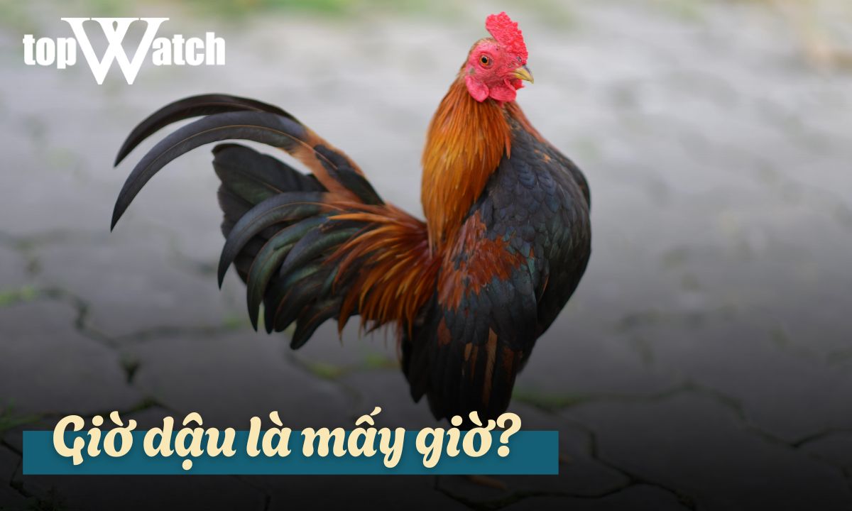 giờ dậu là mấy giờ