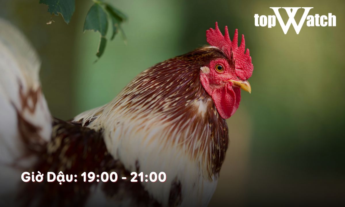 Giờ Dậu là mấy giờ? Luận đoán số mệnh người sinh giờ Dậu theo 12 con giáp giờ dậu là mấy h