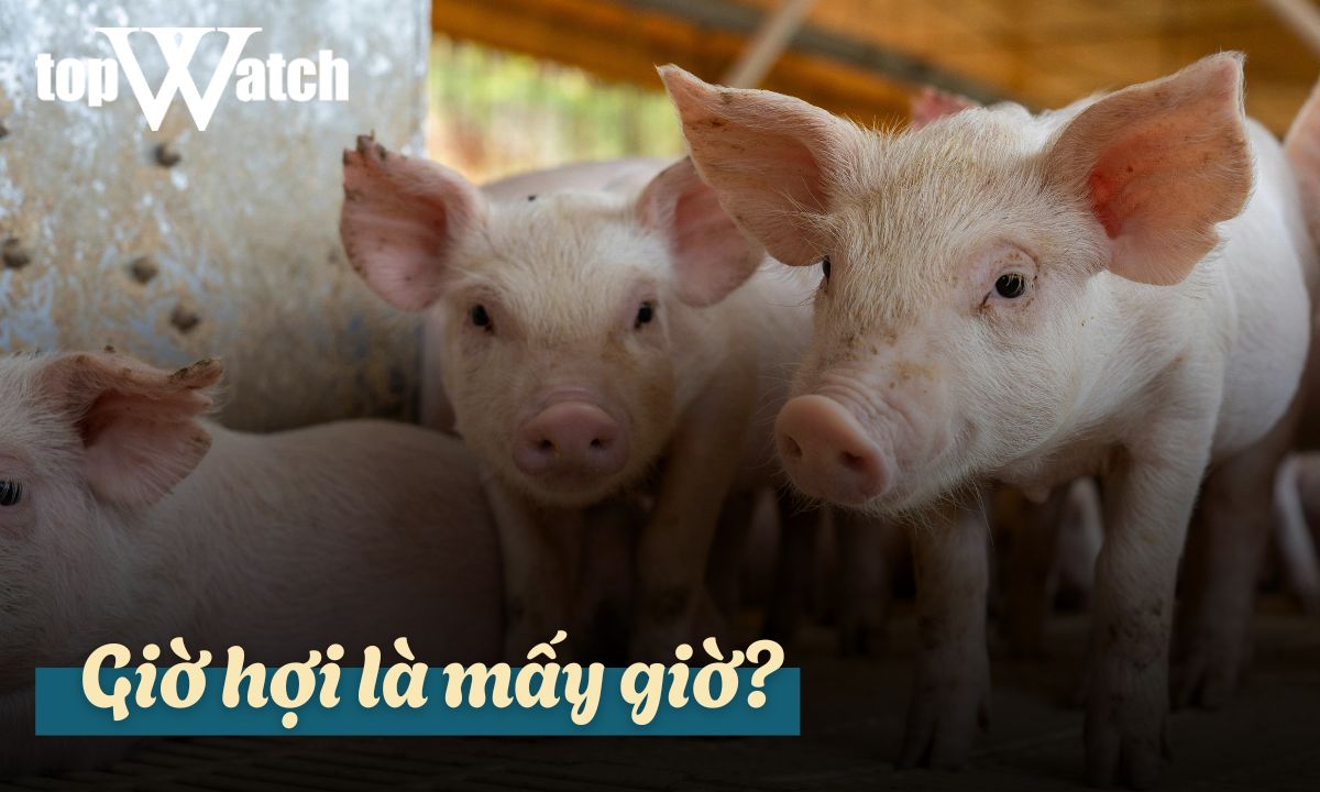 giờ hợi là mấy giờ