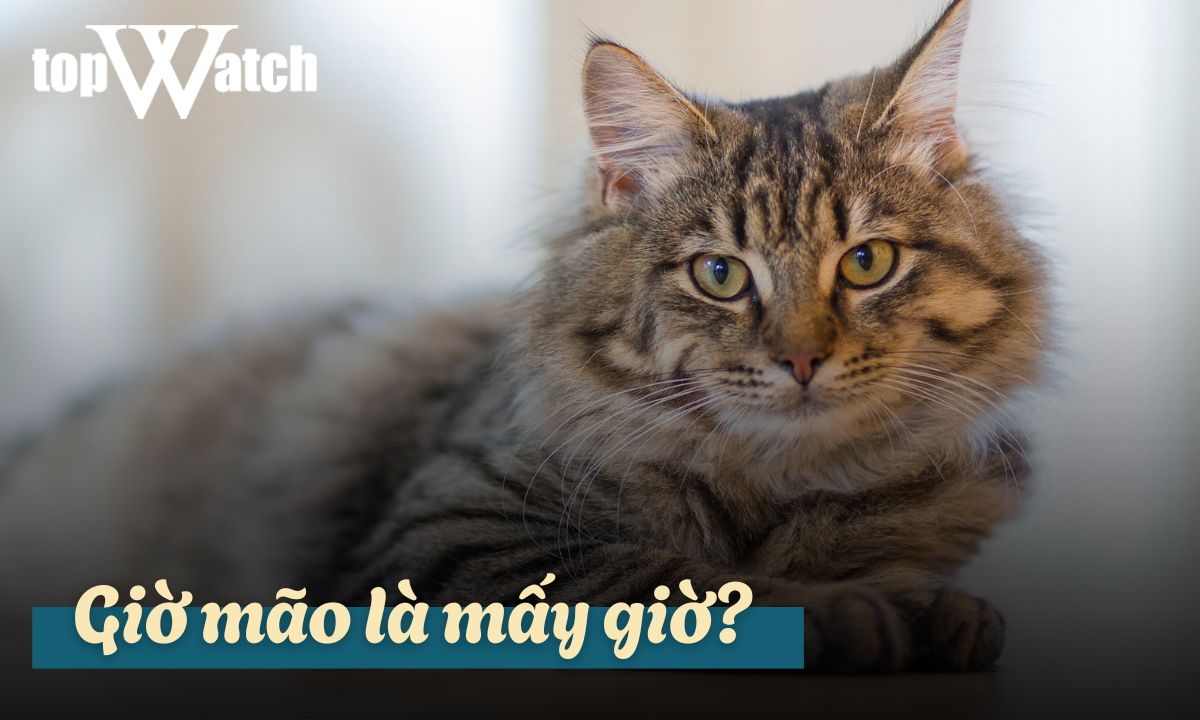 giờ mão là mấy giờ