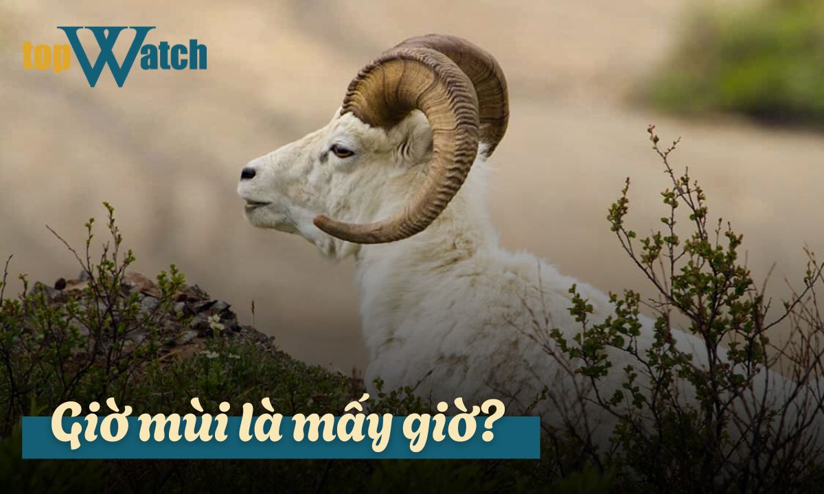 giờ mùi là mấy giờ