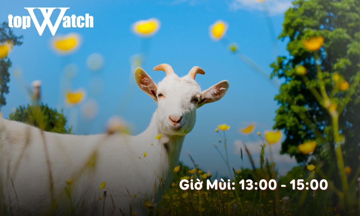 giờ mùi là từ mấy giờ