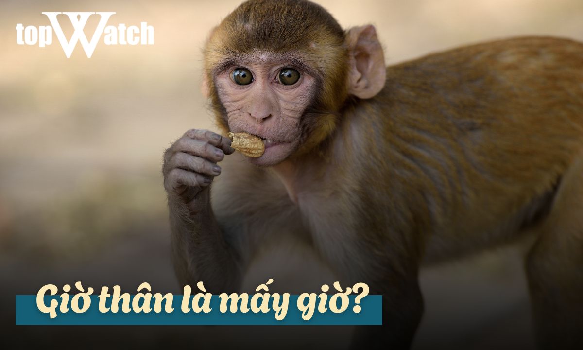 giờ thân là mấy giờ