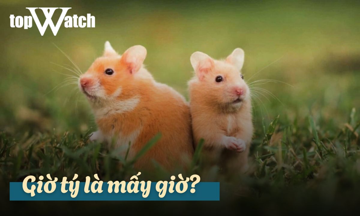 giờ tý là mấy giờ