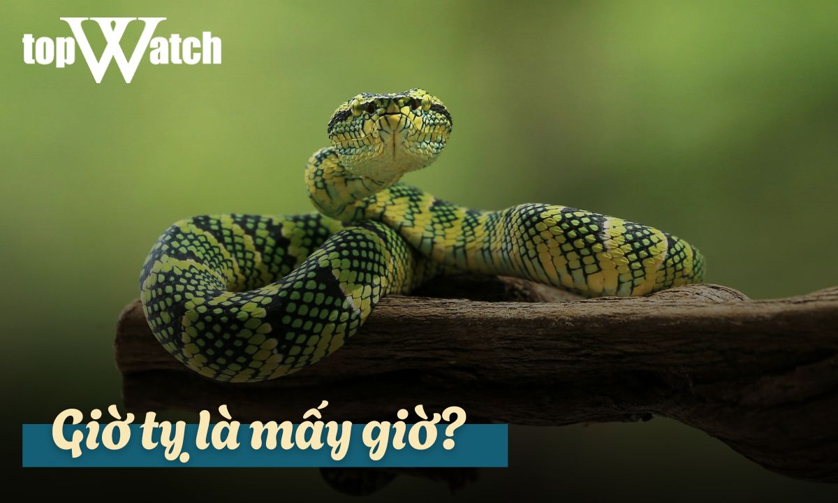 giờ tỵ là mấy giờ