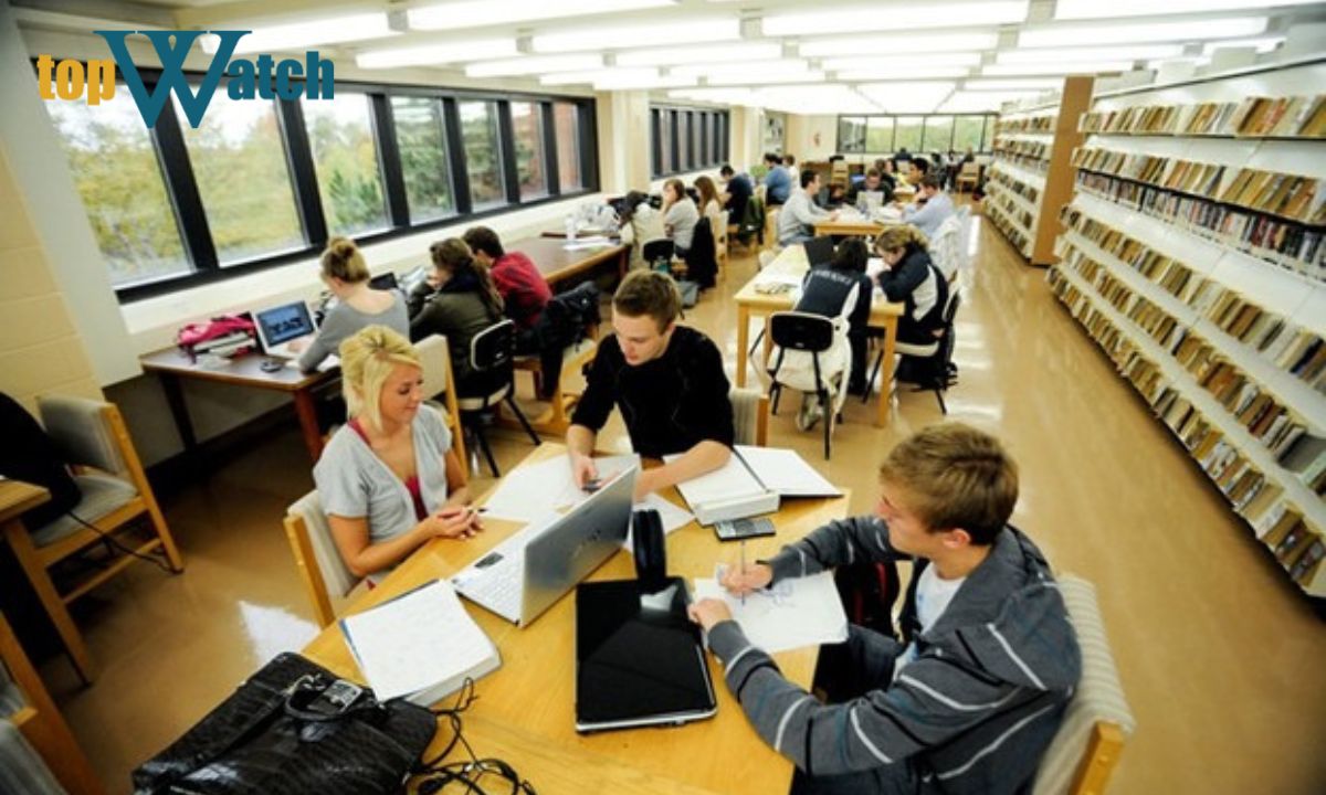 giờ tỵ là mấy giờ giờ tỵ là mấy giờ