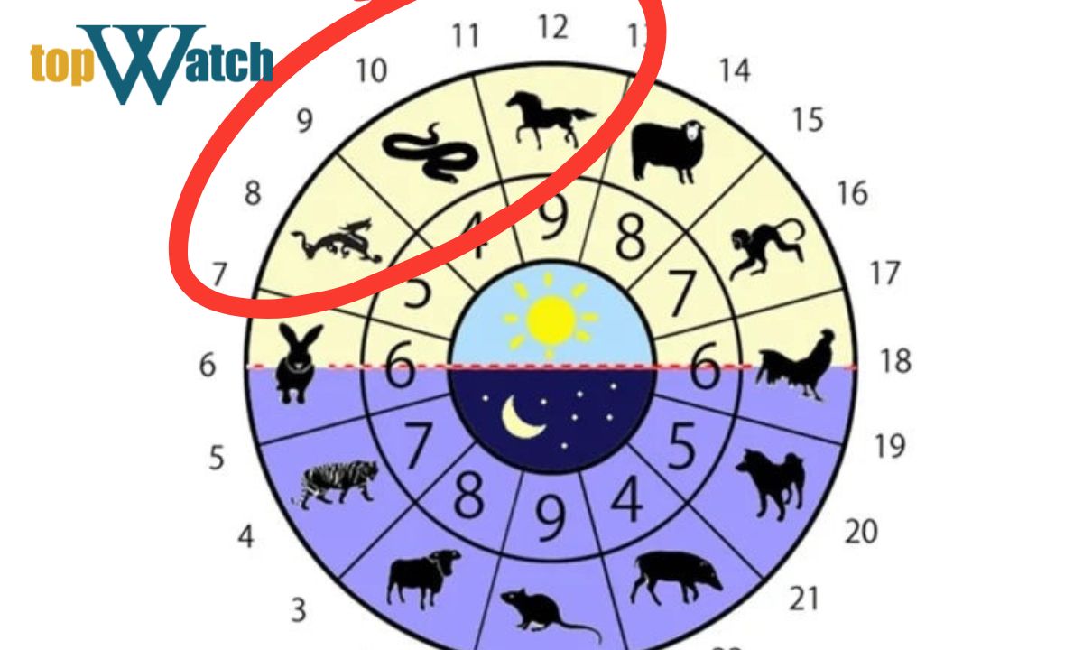 giờ tỵ là mấy giờ giờ tỵ là mấy giờ