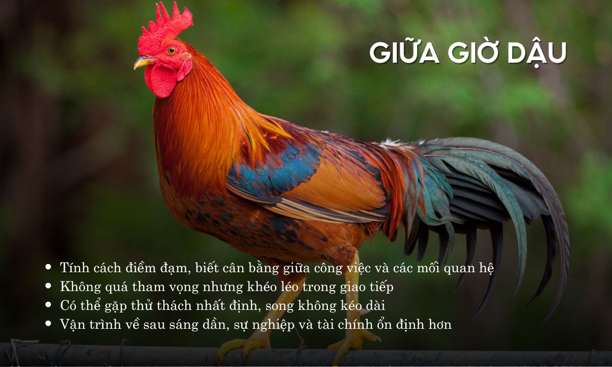 Giờ Dậu là mấy giờ? Luận đoán số mệnh người sinh giờ Dậu theo 12 con giáp canh dậu là mấy giờ