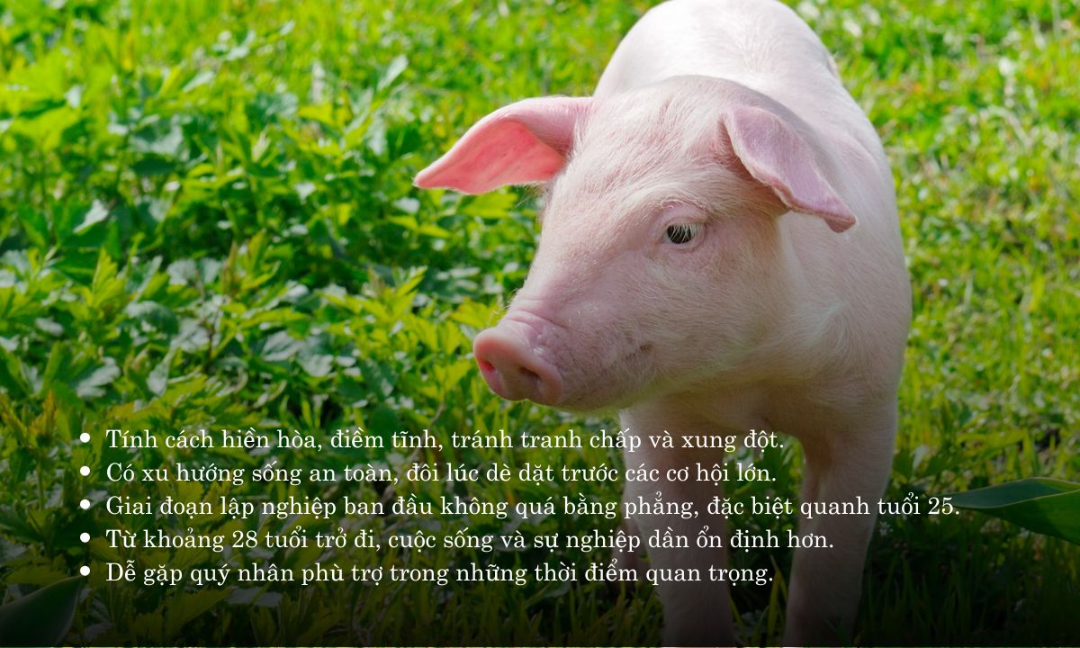 Giờ Hợi là mấy giờ? Sinh vào giờ Hợi là sướng hay khổ? giờ hợi là từ mấy giờ