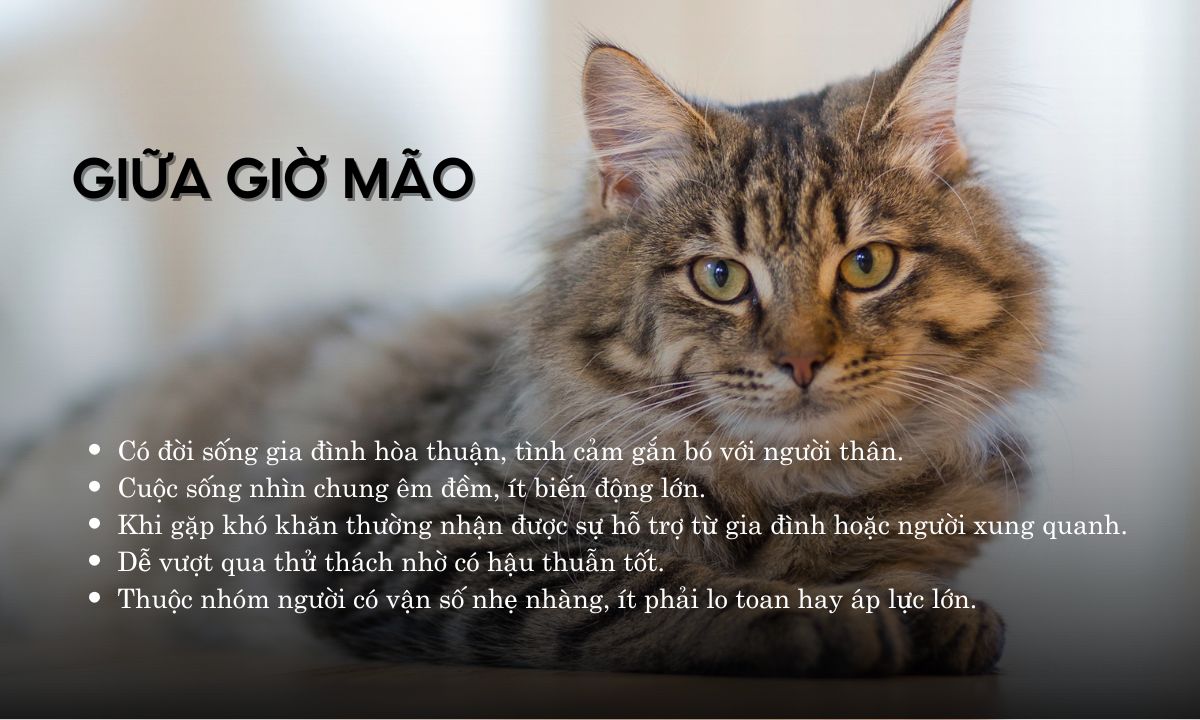 Giờ Mão là mấy giờ? Người sinh giờ Mão có điểm gì đặc biệt? giờ tý sửu mão ngọ thân dậu là mấy giờ